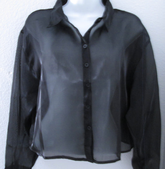 Centimeters black see through long sleeve blouse